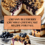Blueberry Crumble Cheesecake Recipe