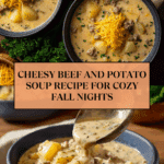 Cheesy Beef and Potato Soup Recipe