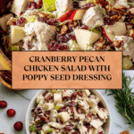 Cranberry Pecan Chicken Salad Recipe