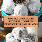 Double Chocolate Snowball Cookies Recipe