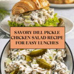 Savory Dill Pickle Chicken Salad Recipe
