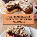Easy plum streusel coffee cake Recipe
