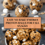 S'mores Protein Balls Recipe