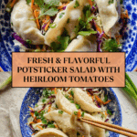 Potsticker Salad Recipe