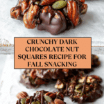 Dark Chocolate Nut Squares Recipe
